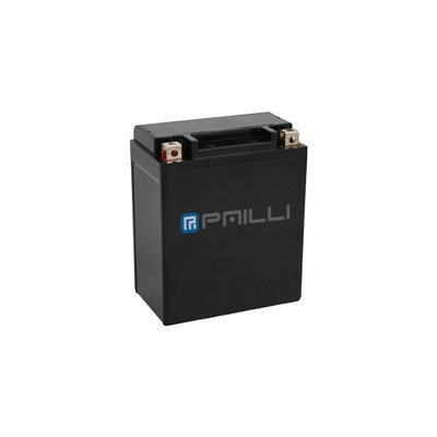 LITHIUM 12V GROUP U1|500 CA|LifePo4 Starter Battery + Bluetooth